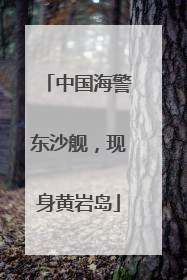 中国海警东沙舰，现身黄岩岛