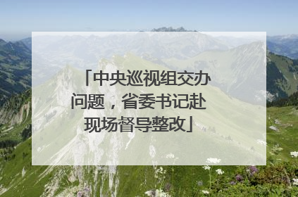 中央巡视组交办问题，省委书记赴现场督导整改