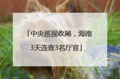 中央巡视收尾，海南3天连查3名厅官