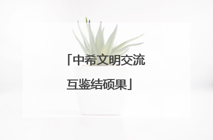 中希文明交流互鉴结硕果