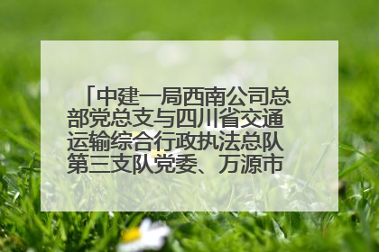中建一局西南公司总部党总支与四川省交通运输综合行政执法总队第三支队党委、万源市草坝镇莲花院村党支部开展党建联建