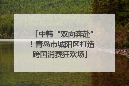 中韩“双向奔赴”！青岛市城阳区打造跨国消费狂欢场