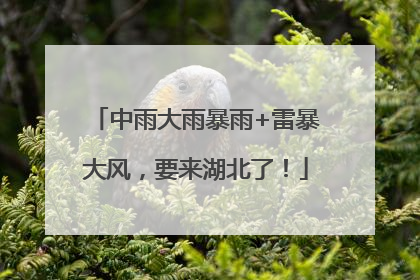中雨大雨暴雨+雷暴大风，要来湖北了！