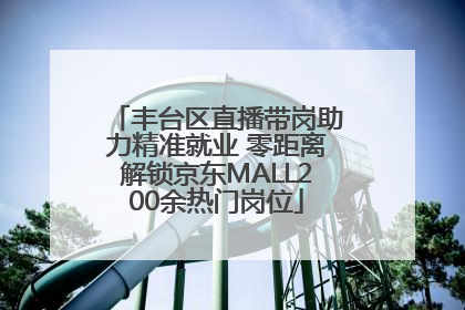 丰台区直播带岗助力精准就业 零距离解锁京东MALL200余热门岗位