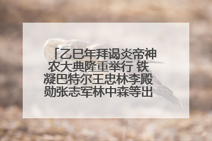 乙巳年拜谒炎帝神农大典隆重举行 铁凝巴特尔王忠林李殿勋张志军林中森等出席 孙伟主持