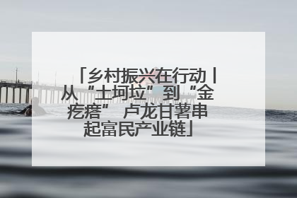 乡村振兴在行动丨从“土坷垃”到“金疙瘩” 卢龙甘薯串起富民产业链