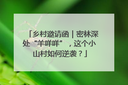 乡村邀请函｜密林深处“羊咩咩”，这个小山村如何逆袭？