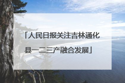 人民日报关注吉林通化县一二三产融合发展