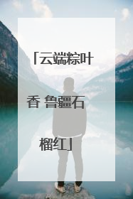 云端粽叶香 鲁疆石榴红