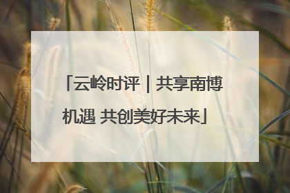 云岭时评｜共享南博机遇 共创美好未来