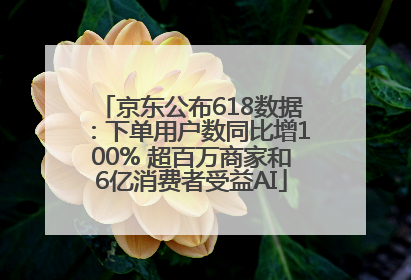 京东公布618数据：下单用户数同比增100% 超百万商家和6亿消费者受益AI