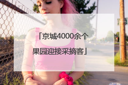 京城4000余个果园迎接采摘客