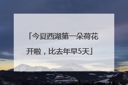 今夏西湖第一朵荷花开啦，比去年早5天