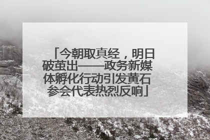 今朝取真经，明日破茧出——政务新媒体孵化行动引发黄石参会代表热烈反响