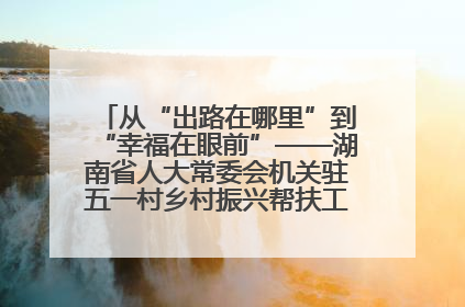 从“出路在哪里”到“幸福在眼前”——湖南省人大常委会机关驻五一村乡村振兴帮扶工作队书写振兴答卷