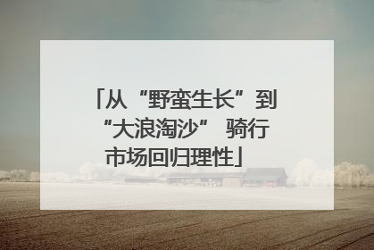 从“野蛮生长”到“大浪淘沙” 骑行市场回归理性