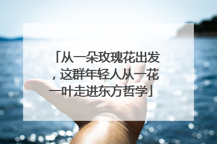 从一朵玫瑰花出发，这群年轻人从一花一叶走进东方哲学