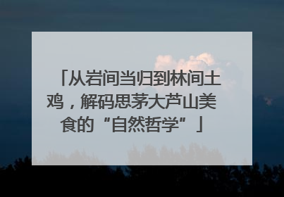 从岩间当归到林间土鸡，解码思茅大芦山美食的“自然哲学”