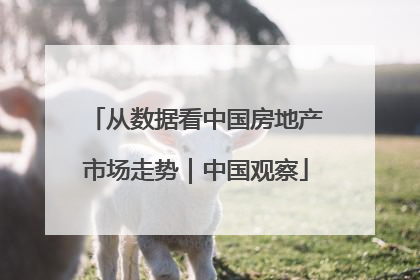 从数据看中国房地产市场走势｜中国观察