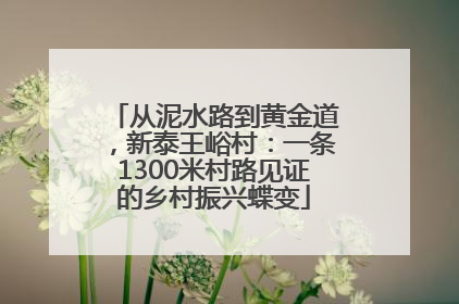 从泥水路到黄金道，新泰王峪村：一条1300米村路见证的乡村振兴蝶变