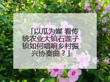 以瓜为媒 看传统农业大镇石莲子镇如何唱响乡村振兴协奏曲？