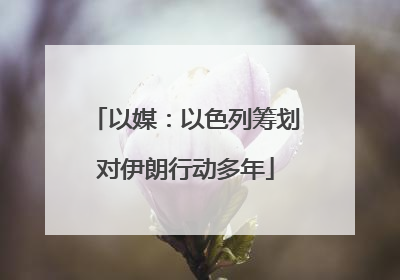 以媒：以色列筹划对伊朗行动多年