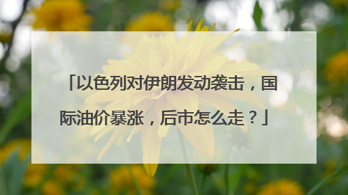 以色列对伊朗发动袭击，国际油价暴涨，后市怎么走？