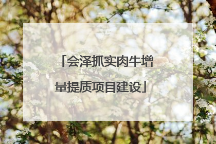 会泽抓实肉牛增量提质项目建设