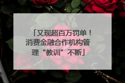 又现超百万罚单！消费金融合作机构管理“教训”不断