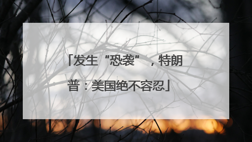 发生“恐袭”，特朗普：美国绝不容忍