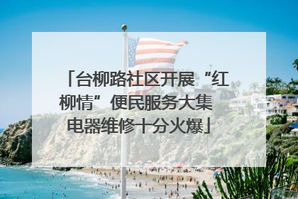 台柳路社区开展“红柳情”便民服务大集 电器维修十分火爆
