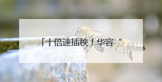 十倍速插秧！华容“铁牛”下田刷新纪录