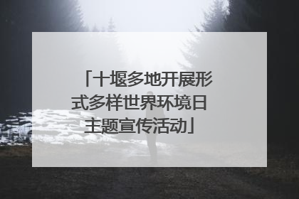 十堰多地开展形式多样世界环境日主题宣传活动