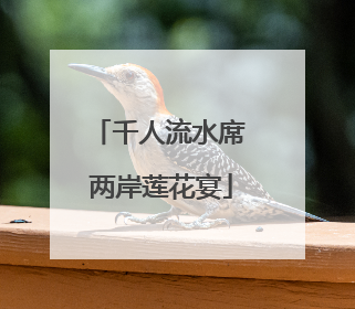 千人流水席 两岸莲花宴