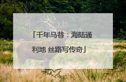 千年马巷：海陆通利地 丝路写传奇