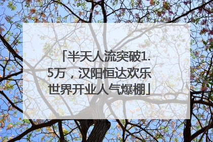 半天人流突破1.5万，汉阳恒达欢乐世界开业人气爆棚