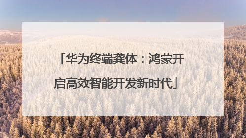 华为终端龚体：鸿蒙开启高效智能开发新时代