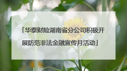 华泰财险湖南省分公司积极开展防范非法金融宣传月活动