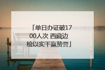单日办证破1700人次 西藏边检以实干赢赞誉