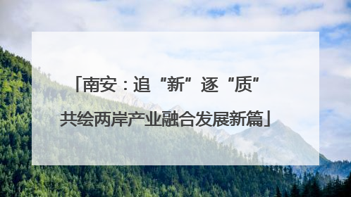 南安：追“新”逐“质” 共绘两岸产业融合发展新篇