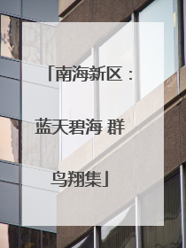 南海新区：蓝天碧海 群鸟翔集
