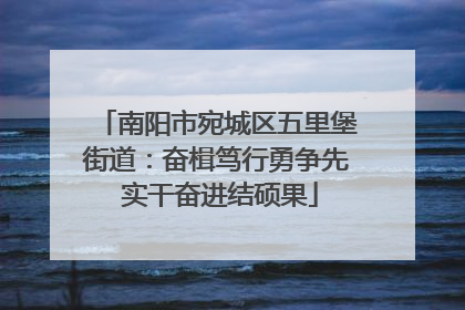 南阳市宛城区五里堡街道：奋楫笃行勇争先 实干奋进结硕果