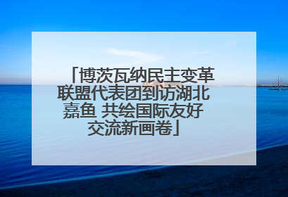 博茨瓦纳民主变革联盟代表团到访湖北嘉鱼 共绘国际友好交流新画卷