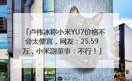 卢伟冰称小米YU7价格不会太便宜，网友：25.59万，小米副董事：不行！