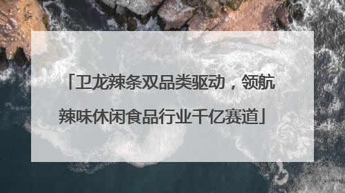 卫龙辣条双品类驱动，领航辣味休闲食品行业千亿赛道