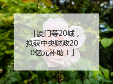 厦门等20城，拟获中央财政200亿元补助！