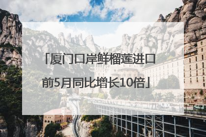 厦门口岸鲜榴莲进口 前5月同比增长10倍