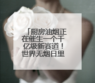 厨房油烟正在催生一个千亿级新赛道！世界无烟日里看厨房新变化