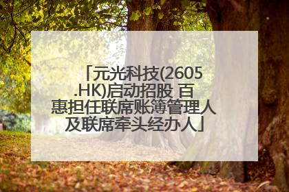 元光科技(2605.HK)启动招股 百惠担任联席账簿管理人及联席牵头经办人