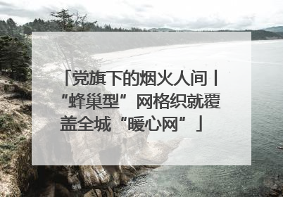 党旗下的烟火人间丨“蜂巢型”网格织就覆盖全城“暖心网”